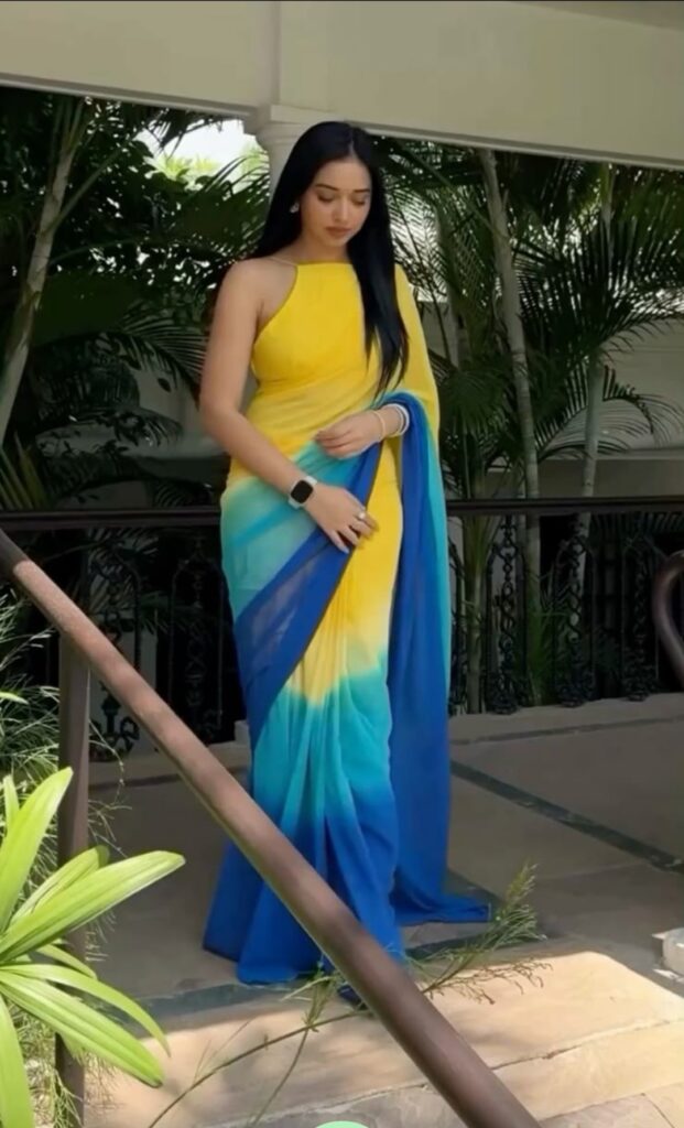 Tanya Mittal Multicolor Georgette Saree Look