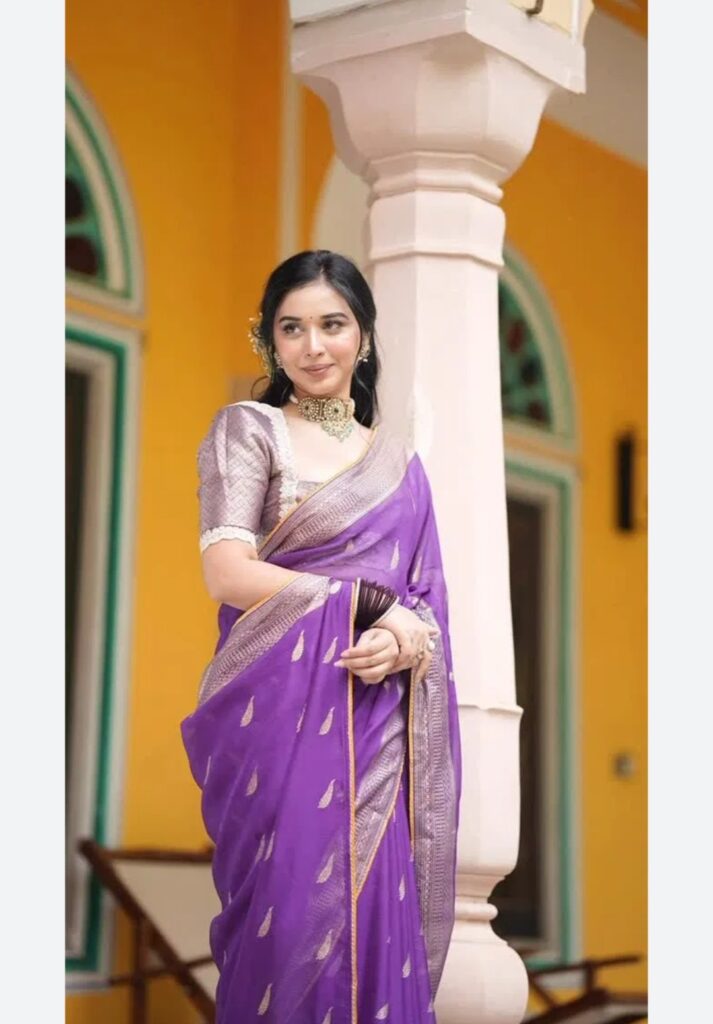 Tanya Mittal Purple Georgette Saree Look